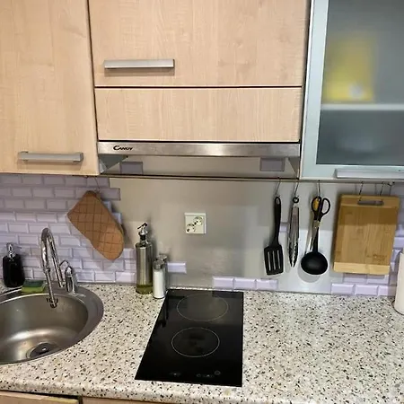 Cozy 3-room Penthouse In The Very Heart Of アパート タリン