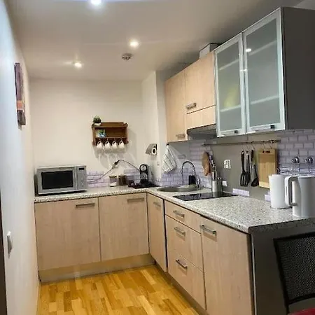 Cozy 3-room Penthouse In The Very Heart Of 公寓 塔林