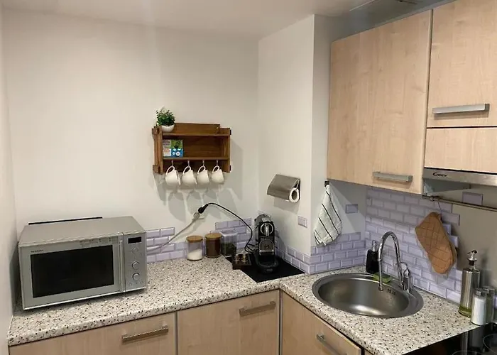 Cozy 3-room Penthouse In The Very Heart Of * 塔林